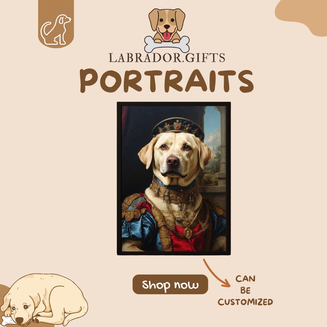Labrador Portraits