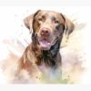 flat750x075f pad750x1000f8f8f8.u2 1 - Labrador Gifts