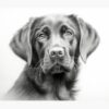 flat750x075f pad750x1000f8f8f8.u2 2 - Labrador Gifts