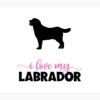 flat750x075f pad750x1000f8f8f8.u2 22 - Labrador Gifts