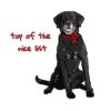 flat750x075f pad750x750f8f8f8 5 - Labrador Gifts