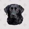 flat750x075f pad750x750f8f8f8 9 - Labrador Gifts