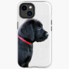 icriphone 14 toughbackax1000 pad1000x1000f8f8f8.u21 2 - Labrador Gifts