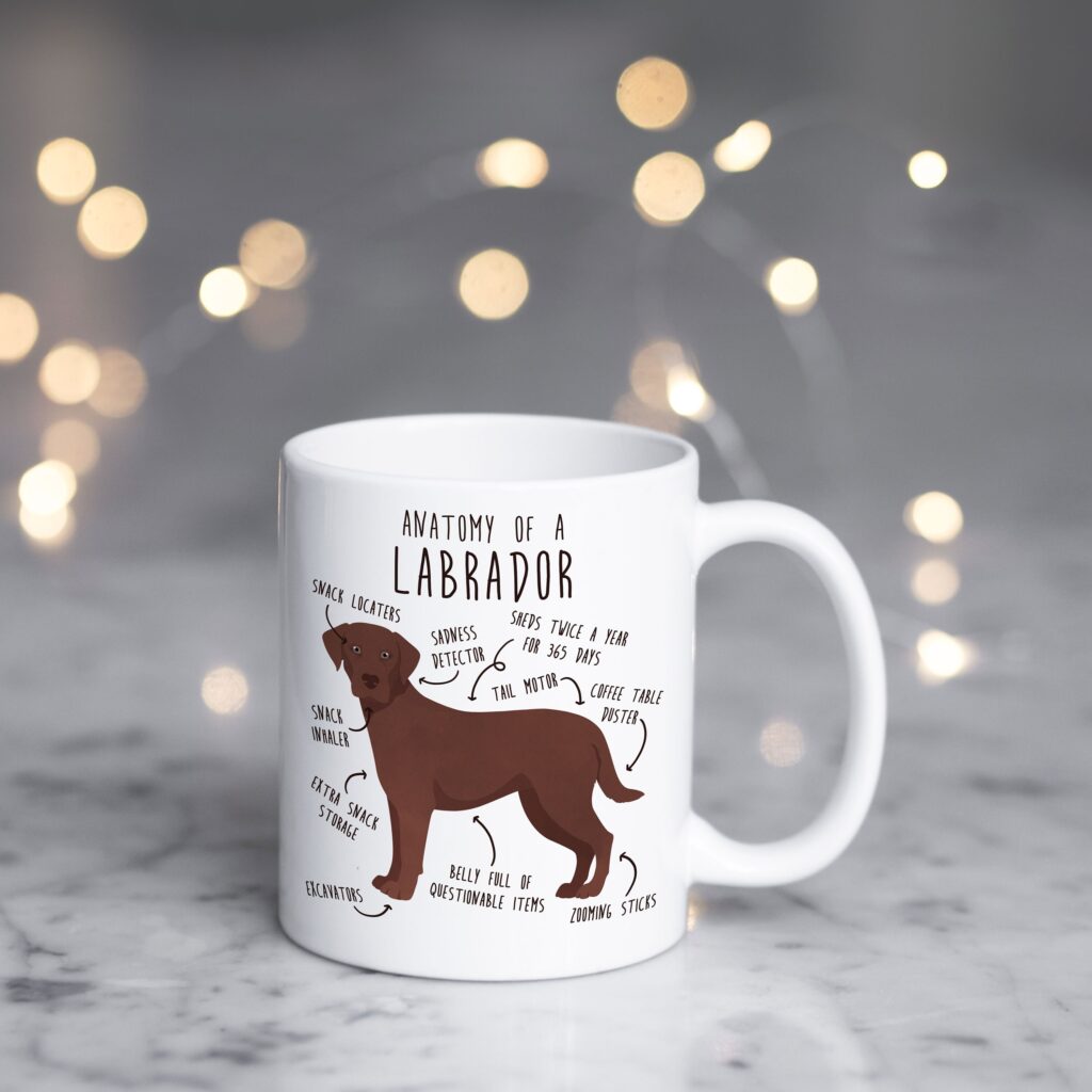 il fullxfull.4351116324 q2qi scaled - Labrador Gifts