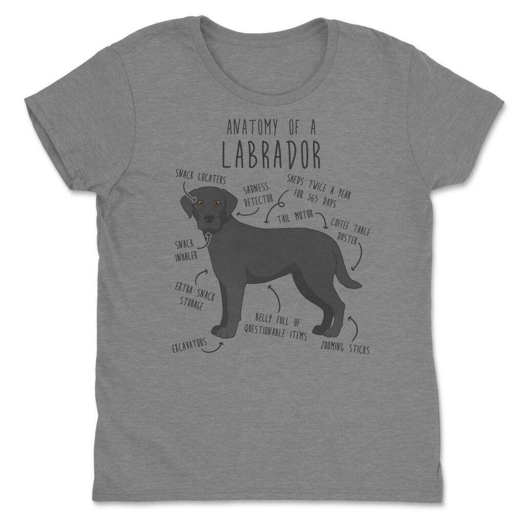 il fullxfull.4354583126 64qg scaled - Labrador Gifts