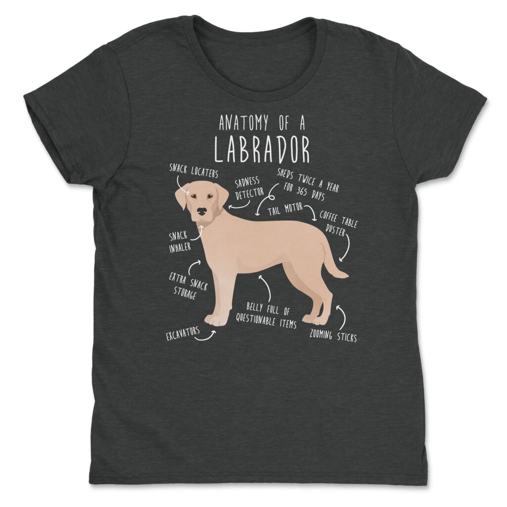 il fullxfull.4354583410 fa2o scaled - Labrador Gifts