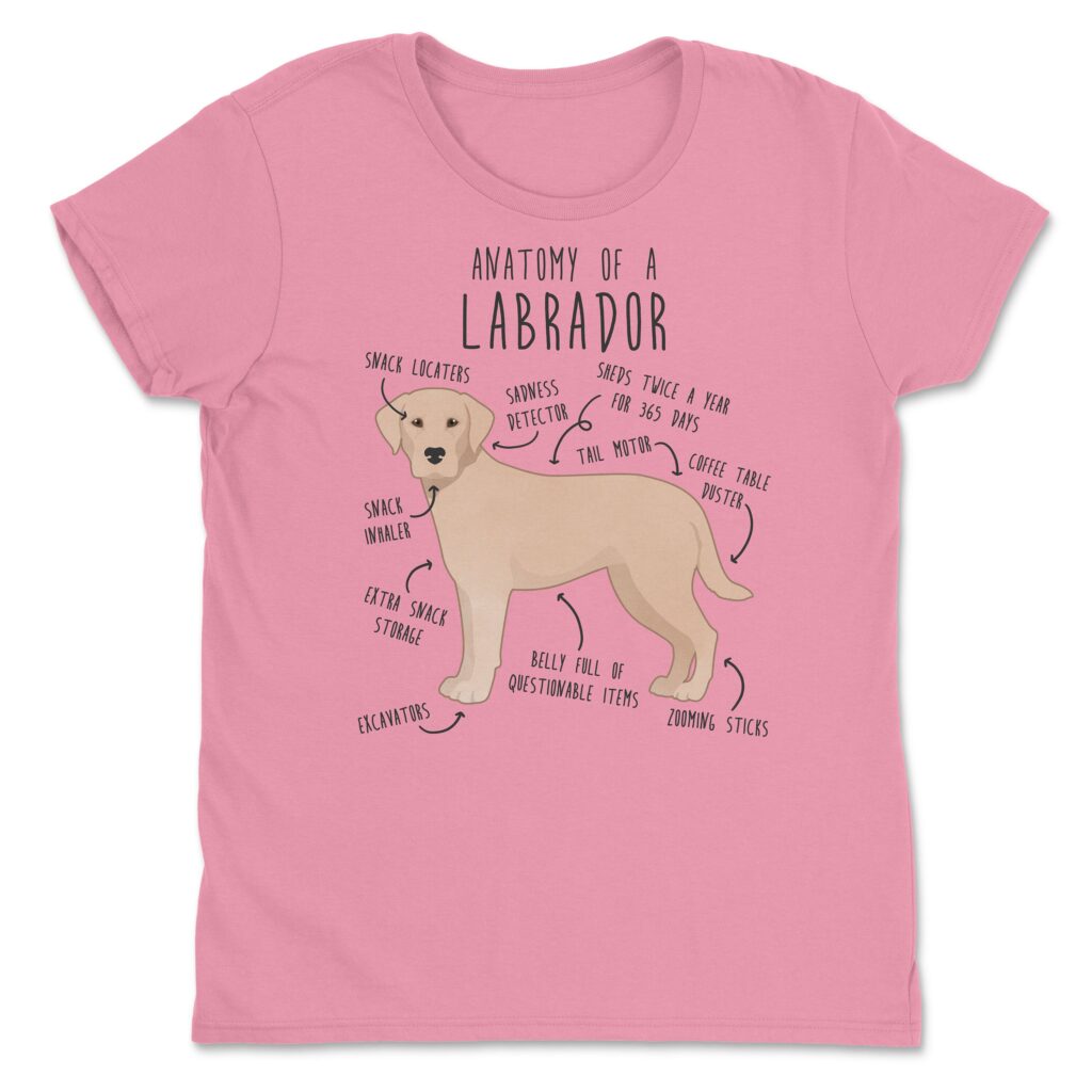 il fullxfull.4354583512 c29c scaled - Labrador Gifts