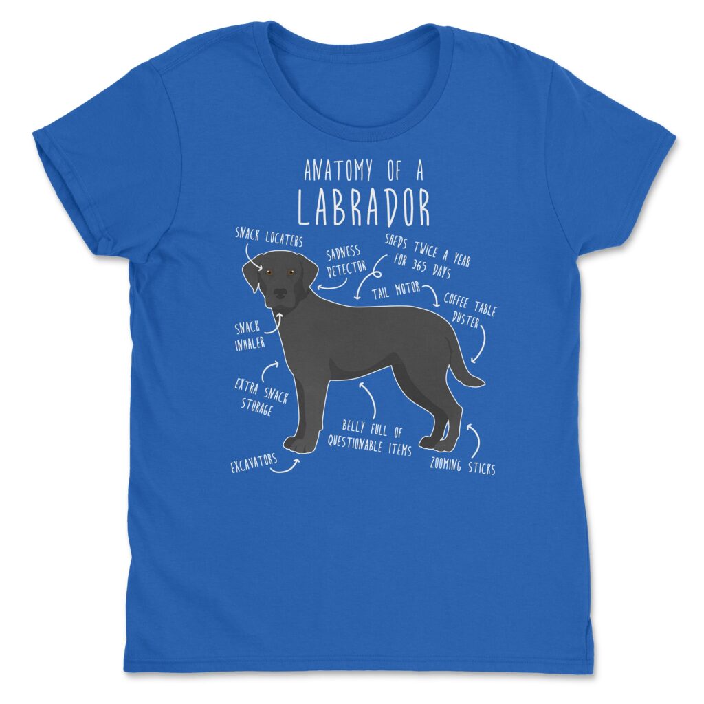 il fullxfull.4354583584 t6ig scaled - Labrador Gifts