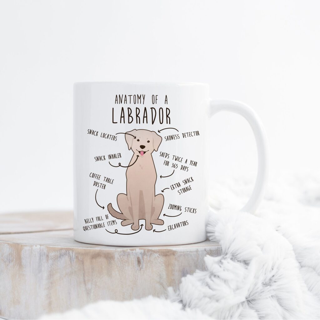 il fullxfull.4354583744 dbro scaled - Labrador Gifts