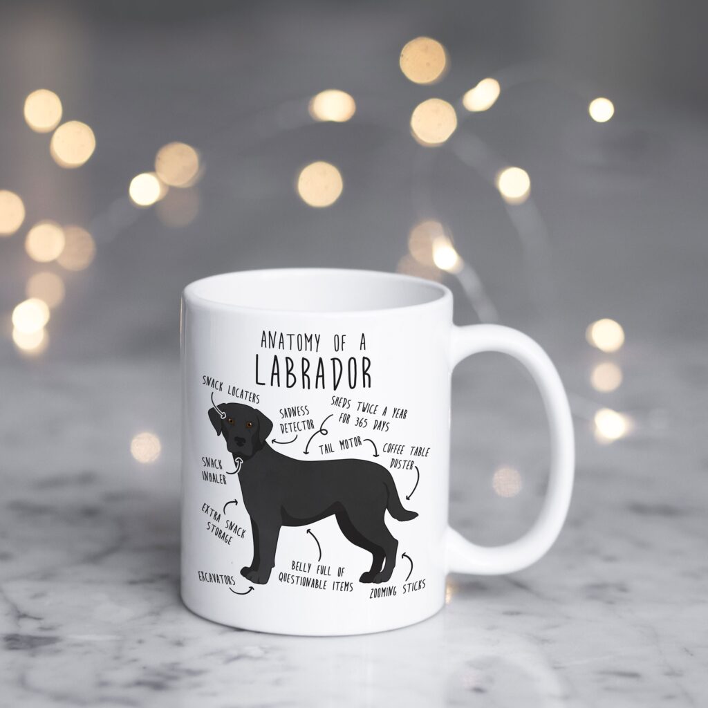 il fullxfull.4354583770 ckdt scaled - Labrador Gifts