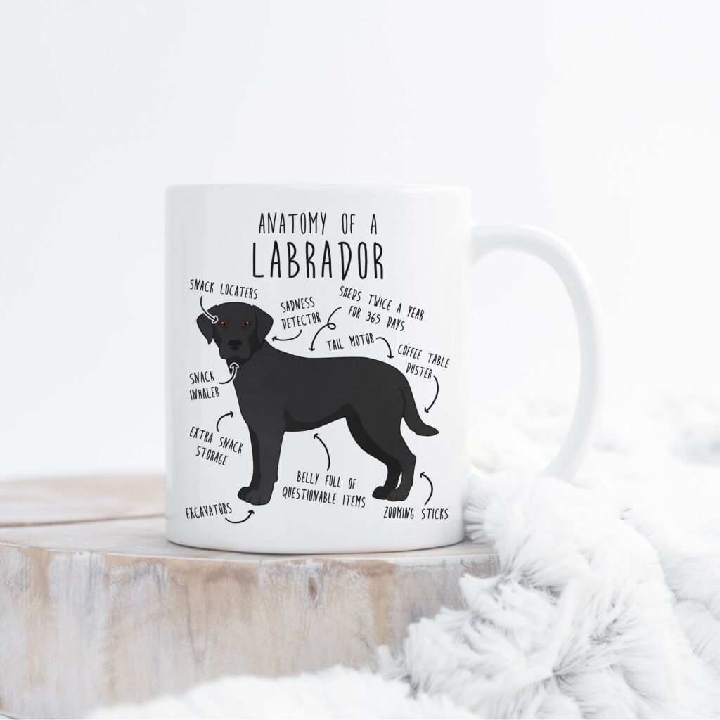 il fullxfull.4354600048 scwq scaled - Labrador Gifts