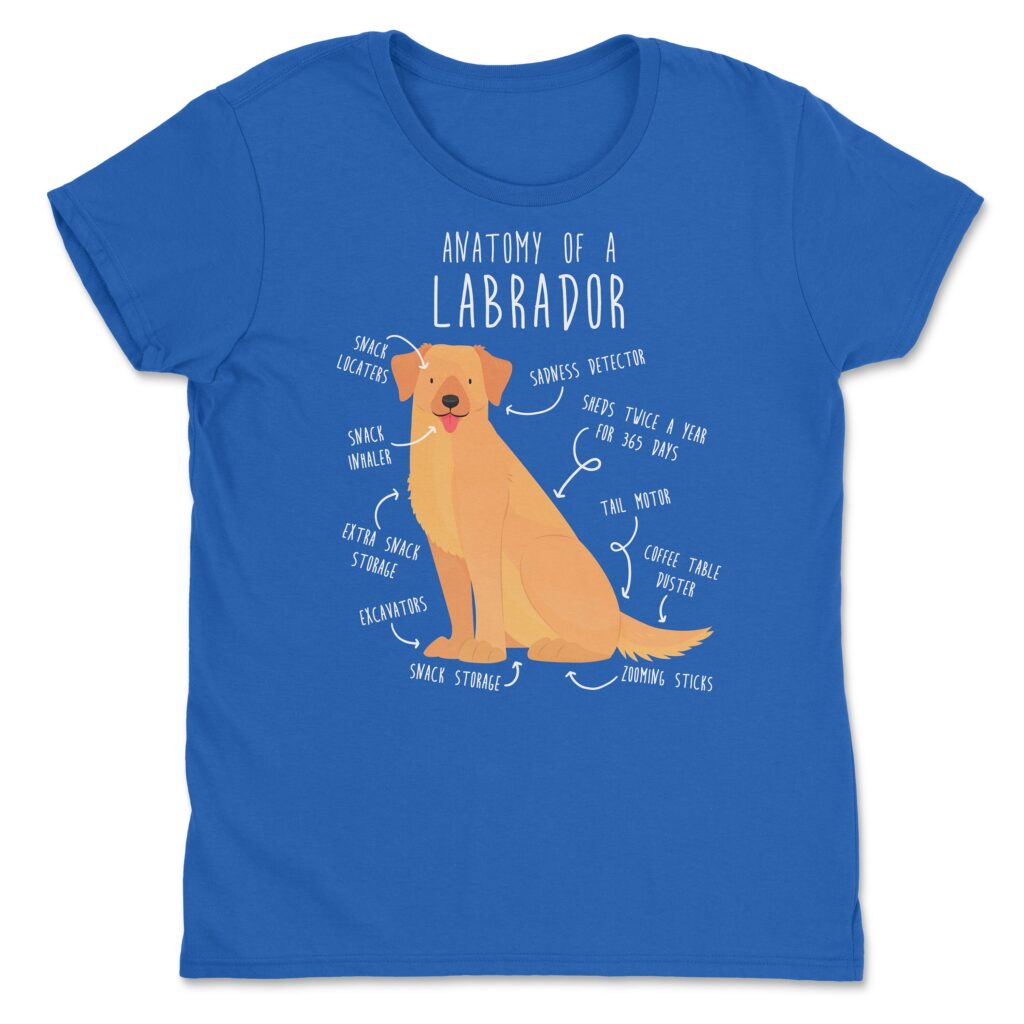 il fullxfull.4357827662 eeby scaled - Labrador Gifts