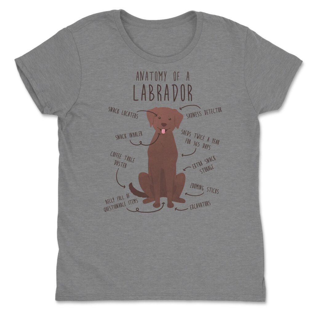 il fullxfull.4357853592 e1ft scaled - Labrador Gifts