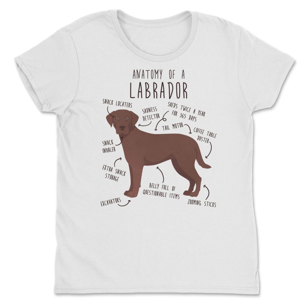 il fullxfull.4398509251 55of scaled - Labrador Gifts