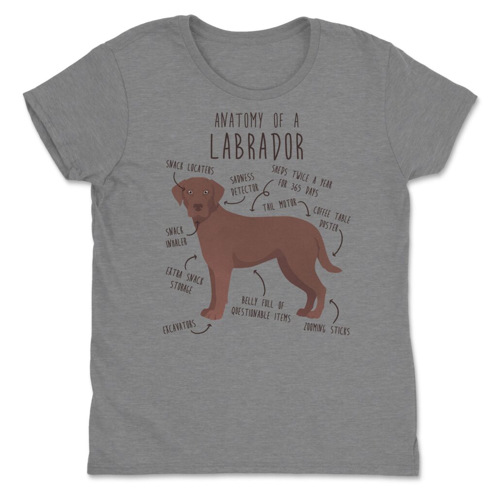 il fullxfull.4398509503 jjuf scaled - Labrador Gifts