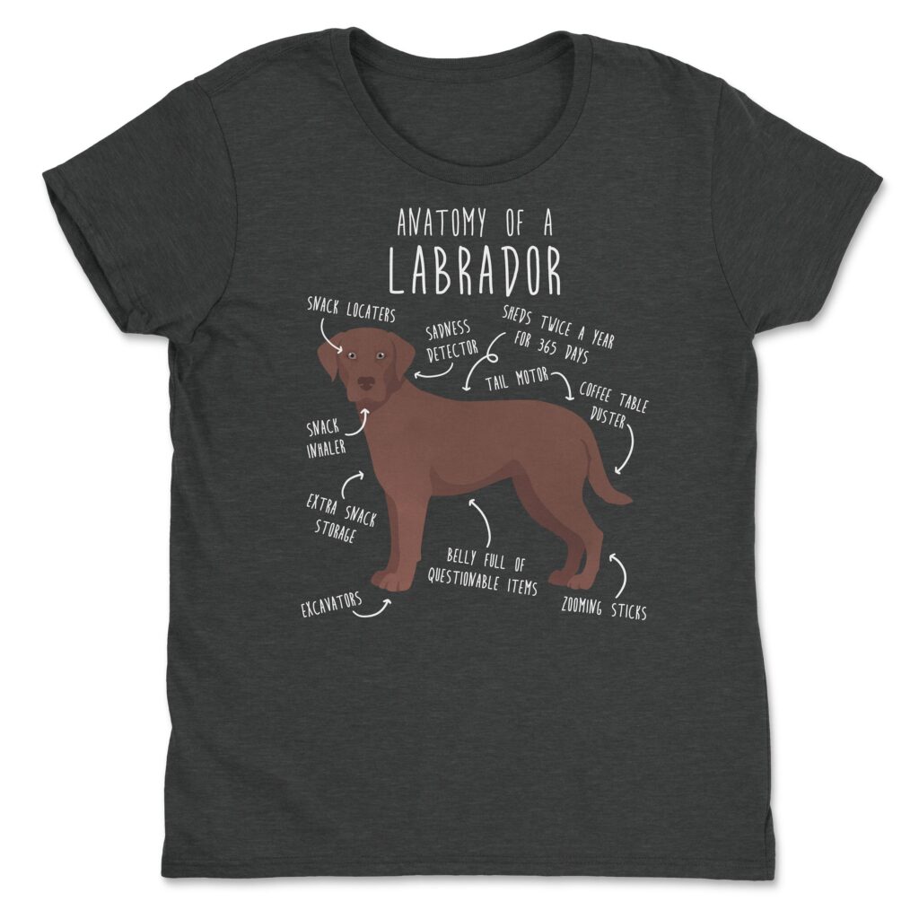 il fullxfull.4398509651 q66m scaled - Labrador Gifts