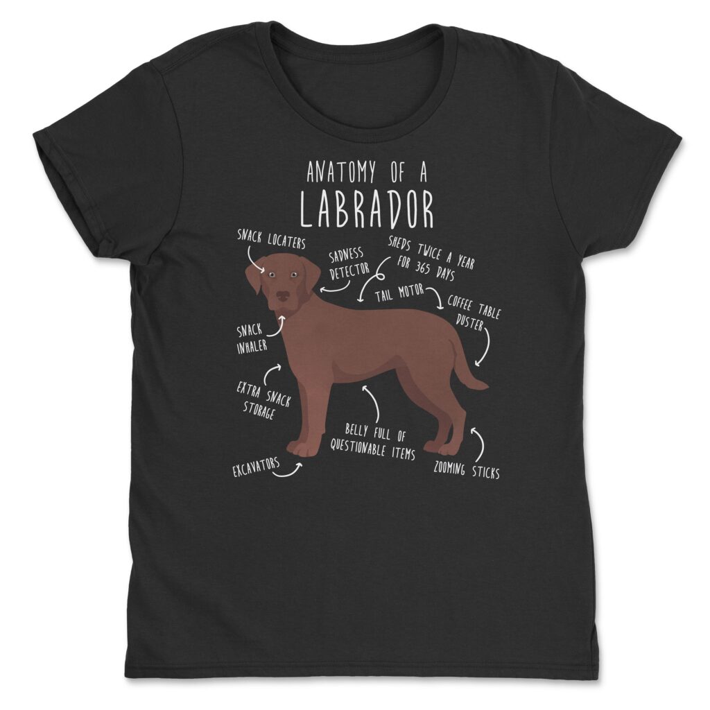 il fullxfull.4398509793 cok5 scaled - Labrador Gifts