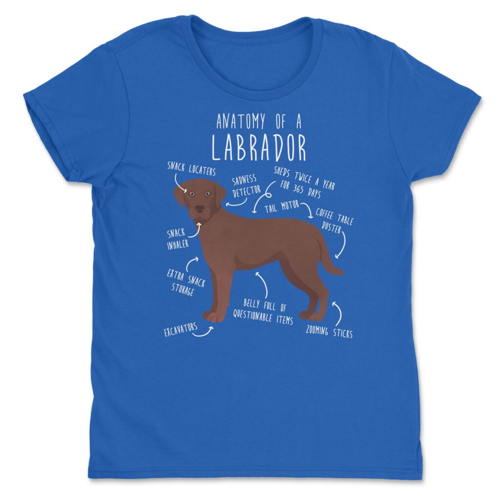 il fullxfull.4398510075 2i7z scaled - Labrador Gifts