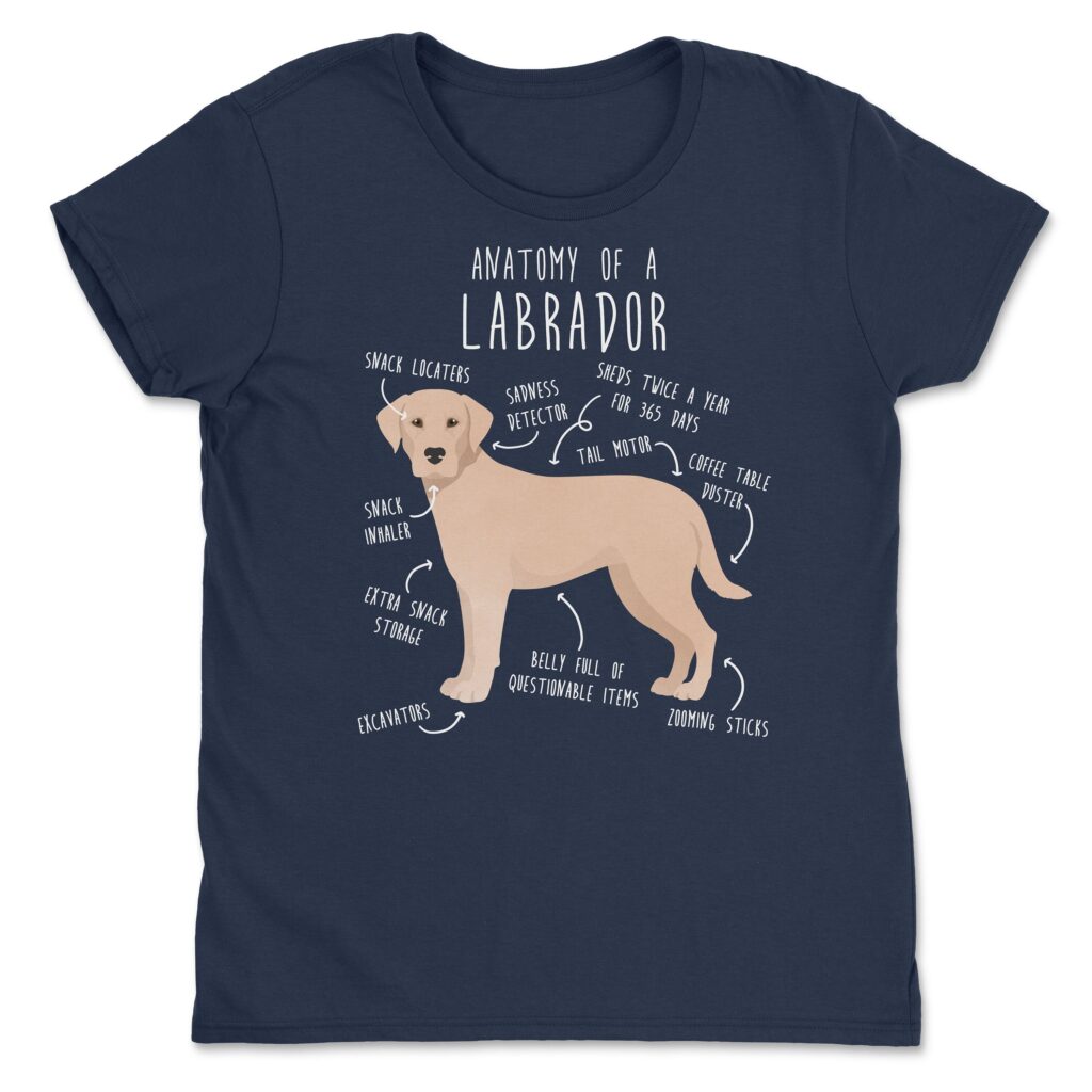 il fullxfull.4401968195 ry0g scaled - Labrador Gifts