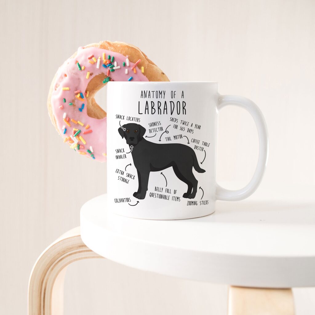 il fullxfull.4401968505 8dty scaled - Labrador Gifts