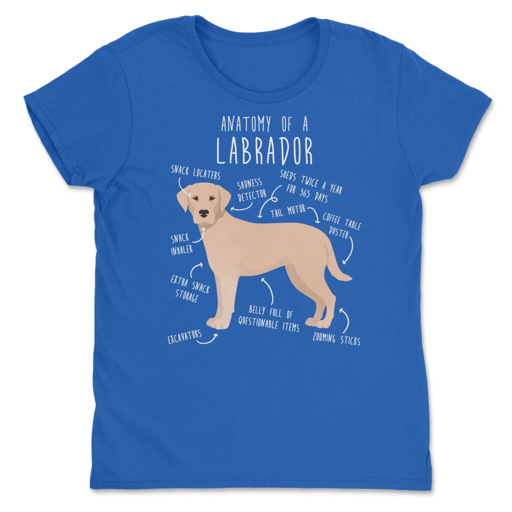 il fullxfull.4401968817 f6re scaled - Labrador Gifts