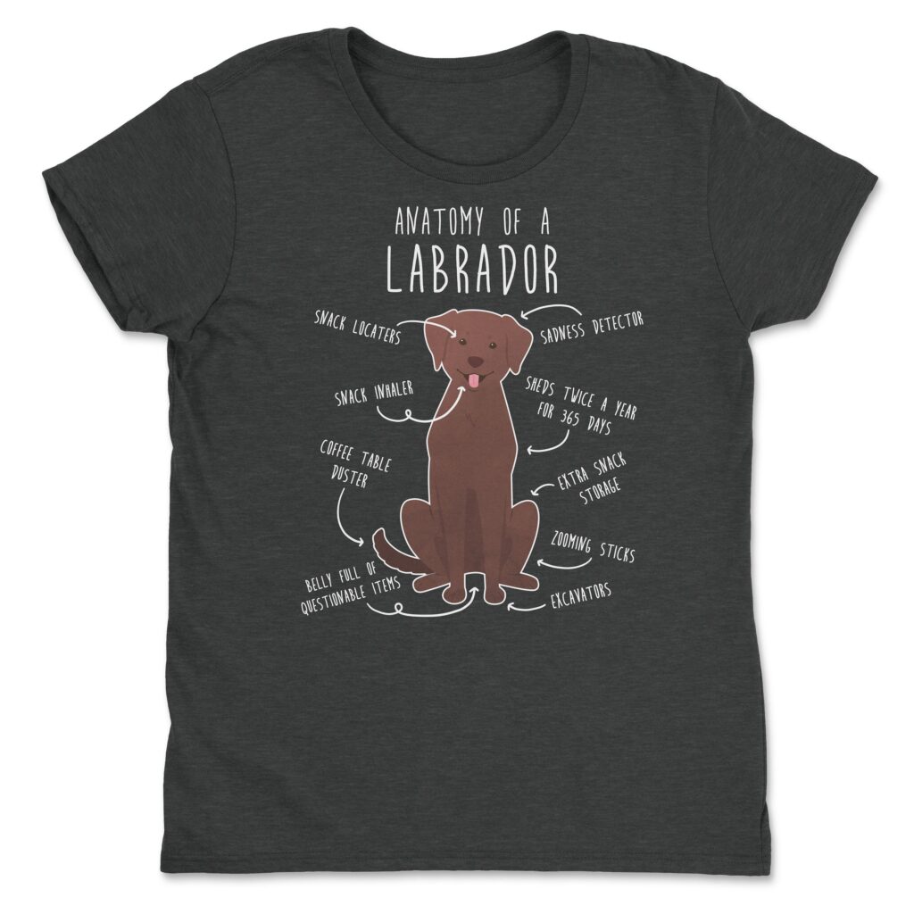 il fullxfull.4405237725 fl8v scaled - Labrador Gifts