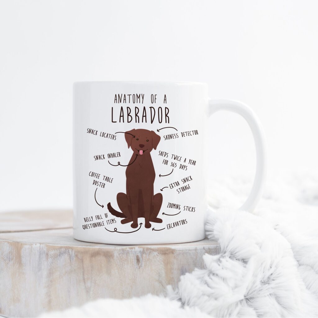 il fullxfull.4405238209 ogax scaled - Labrador Gifts