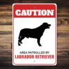 il fullxfull.4637040356 i45g - Labrador Gifts