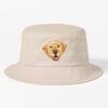 ssrcobucket hatproducte5d6c5f62bbf65eesrpsquare1000x1000 bgf8f8f8.u2 2 - Labrador Gifts