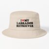 ssrcobucket hatproducte5d6c5f62bbf65eesrpsquare1000x1000 bgf8f8f8.u2 20 - Labrador Gifts