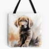 tb1040x1040large c1198800800 bgf8f8f8.u8 26 - Labrador Gifts