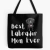 tb1040x1040large c1198800800 bgf8f8f8.u8 32 - Labrador Gifts