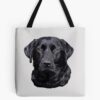 tb1040x1040large c1198800800 bgf8f8f8.u8 9 - Labrador Gifts