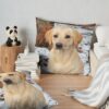 throwpillowsecondary 36x361000x1000 bgf8f8f8 3 - Labrador Gifts