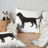 throwpillowsecondary 36x361000x1000 bgf8f8f8 5 - Labrador Gifts