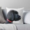 throwpillowsmall1000x bgf8f8f8 c020010001000 4 - Labrador Gifts