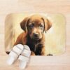 urbathmat flatlay context smallsquare750x1000.1u5 21 - Labrador Gifts