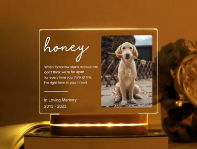 Personalized Labrador Memorial Night Light - Labrador Gifts